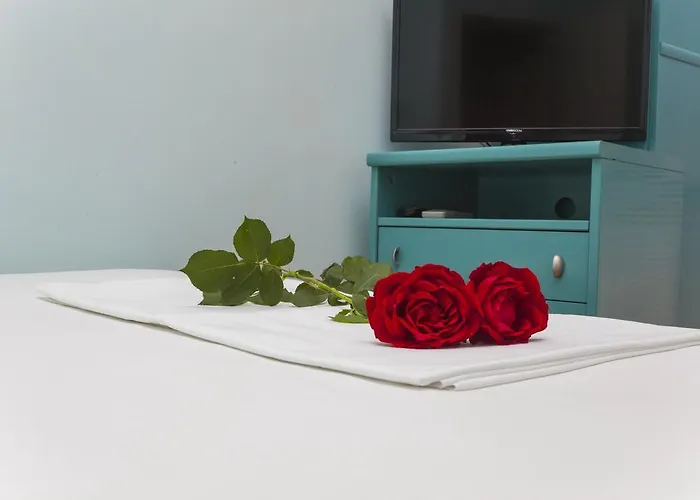 Neda Πανσιόν 3*