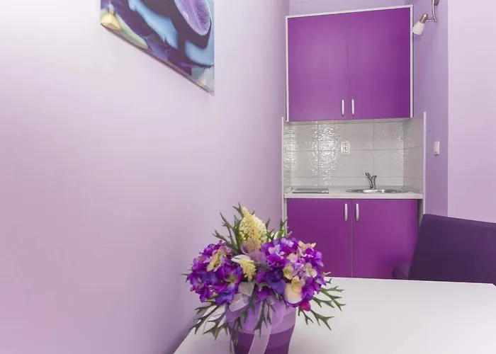 Πανσιόν Neda 3*